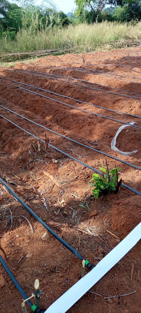 PHOTO-2024-11-27-16-10-48 (4)