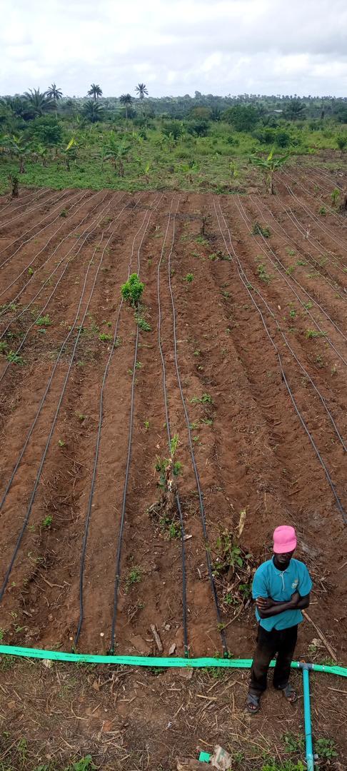 PHOTO-2024-11-27-16-10-48 (6)