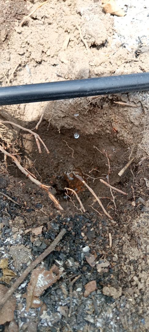 PHOTO-2024-11-27-16-10-48 (9)